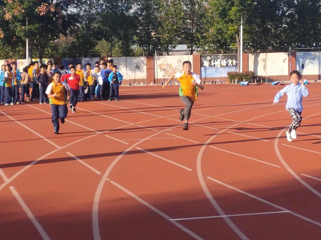 271教育适合什么样的孩子,271教育理念