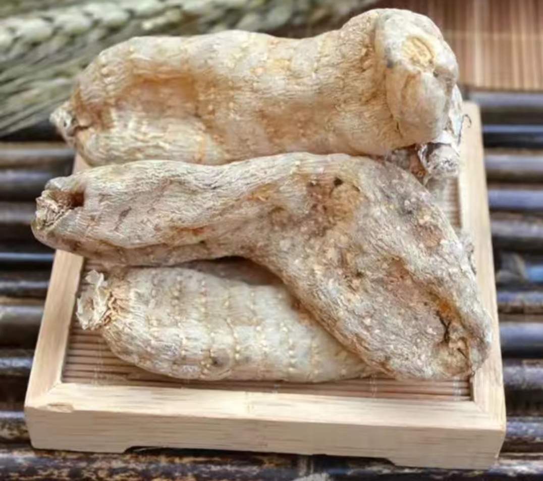 中国最好的野生天麻产地,西藏波密县哪家天麻基地最大