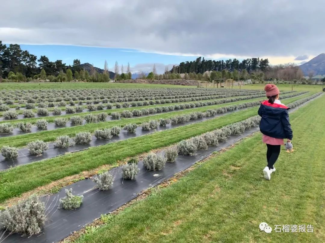 旅行7天,七天游记的视频在线观看全集高清