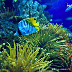 青岛黄岛旅游景点攻略,青岛必去的10大免费景点城阳区