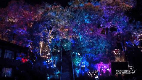 中秋国庆灯光秀节目单,国庆中秋灯光秀视频