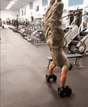 不喝蛋白质粉练出来的肌肉差别 (吃蛋白粉和练出来的肌肉区别)