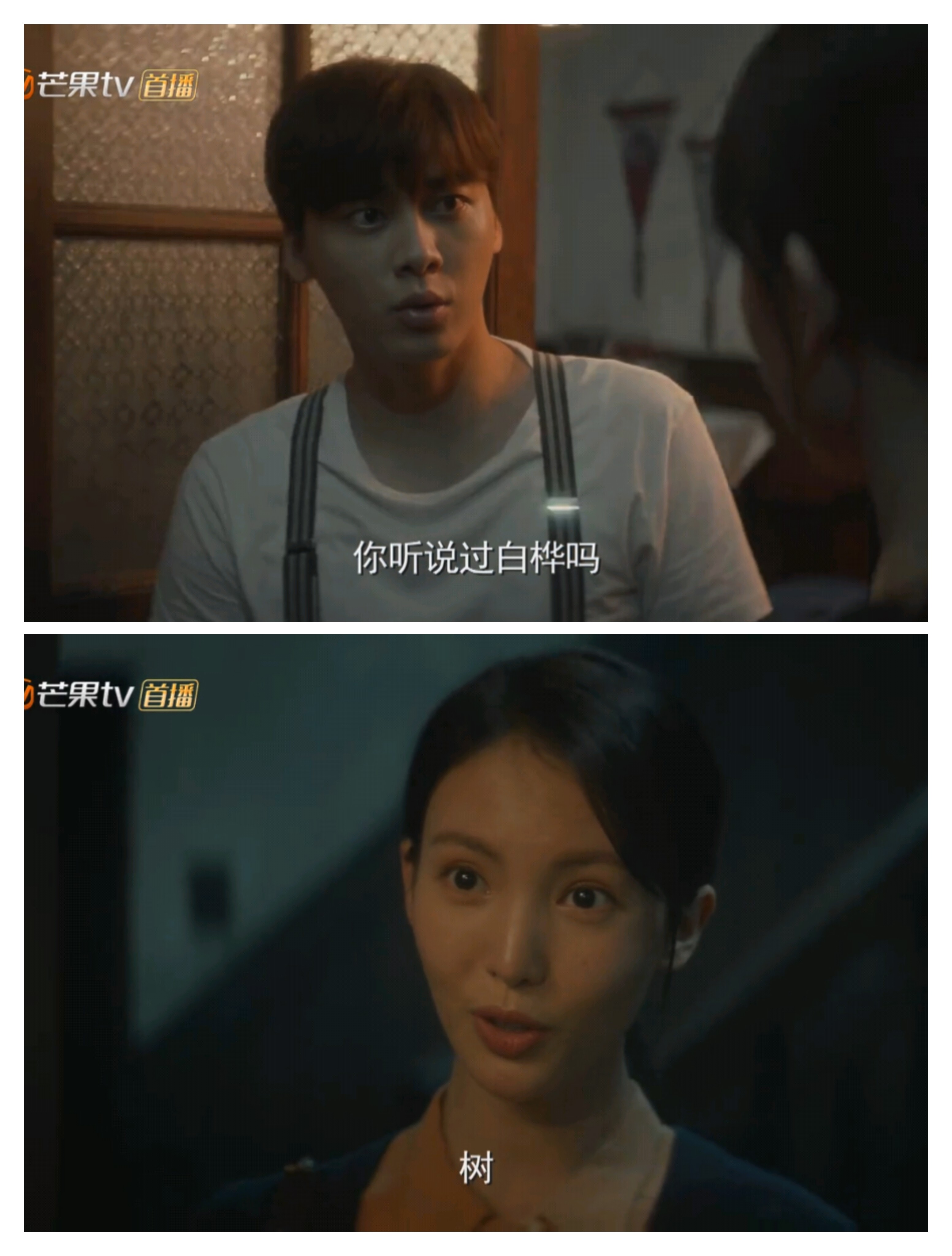 金晨为什么要叫沈青禾和沈思怡,金晨演的沈青禾