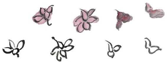 国画梅花上的雪画法步骤教程视频,零基础国画入门画梅花教程