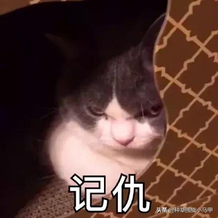 专柜卖假货,卖假货到底该不该硬气回应