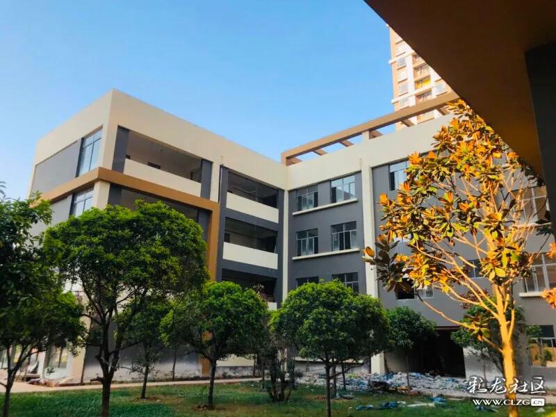 春城小学本部拆迁,春城小学金域校区基本情况