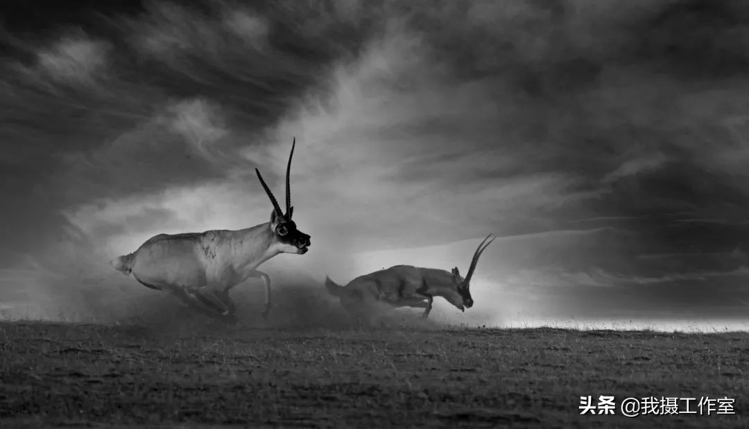 第16届国际摄影艺术展获奖作品,第29届全国摄影艺术展览作品集