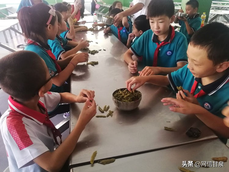 延安甘泉：播种绿色希望，收获金色成长——记甘泉县第三小学综合实践活动