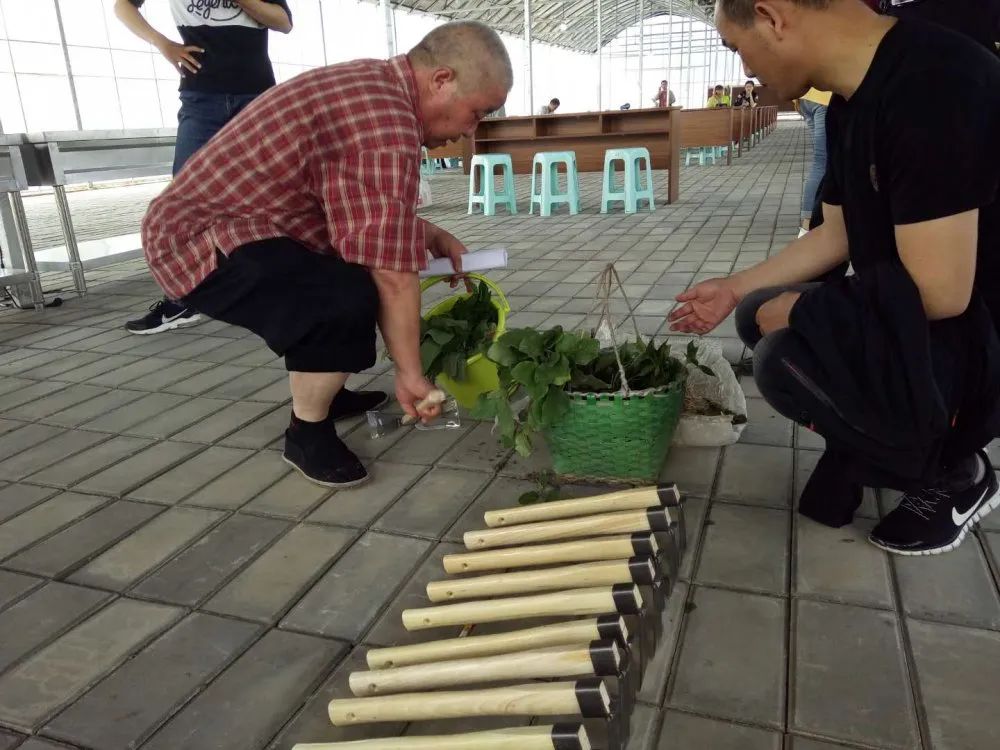 开心农场希月生态庄园,开心农场欢迎你的到来