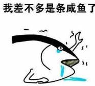 黑下巴如何用药,猫猫黑下巴怎么治疗