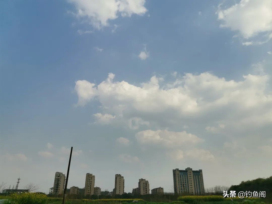 废弃鱼塘鱼怎么钓,废弃鱼塘鱼特别少怎么钓