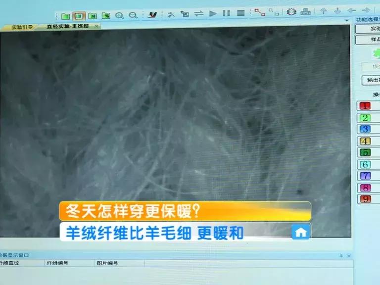 羊毛衫加绒卫衣保暖性,羊毛打底衫和羊绒衫哪个保暖