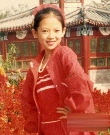 章子怡汪峰声明分析,章子怡庆祝结婚6周年