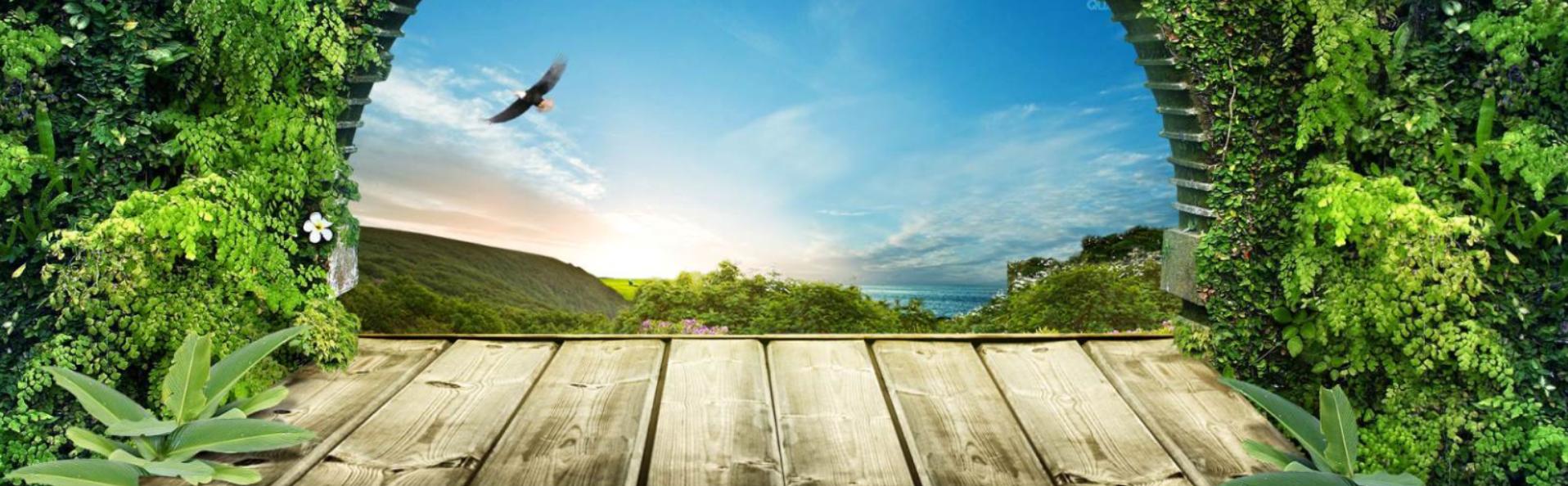 设计师免费素材库大全无水印高清,设计师高端素材库推荐