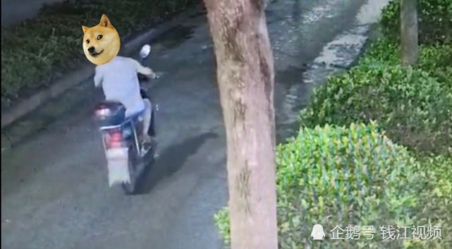 变态！杭州55岁中年男子专挑美女袭胸，竟然还是多次犯案