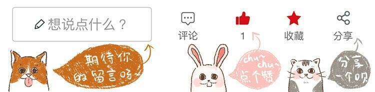 猫咪有个超有情商的铲屎官,猫咪智商测试果然豆丁智商最高