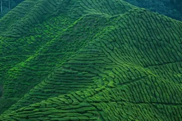 马来西亚感受槟城魅力,马来西亚槟城沧桑百年的南洋小城