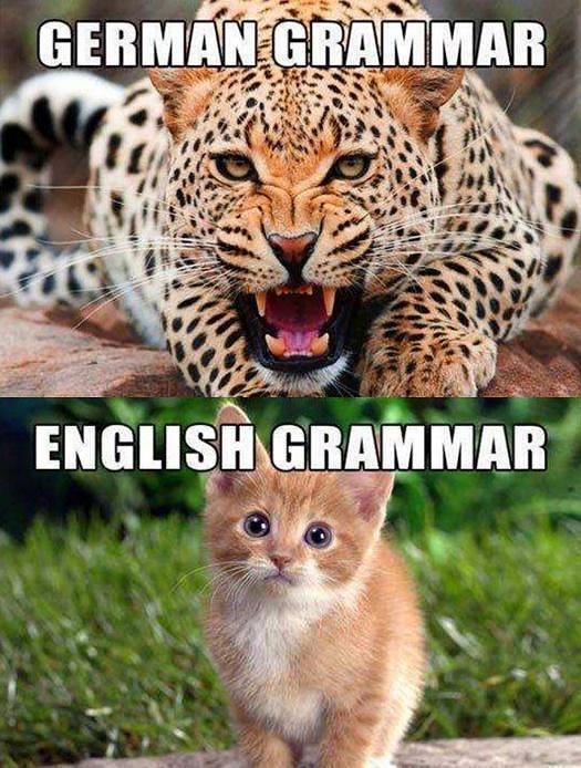 如何用六个月学会英语,如何六个月学会一门语言