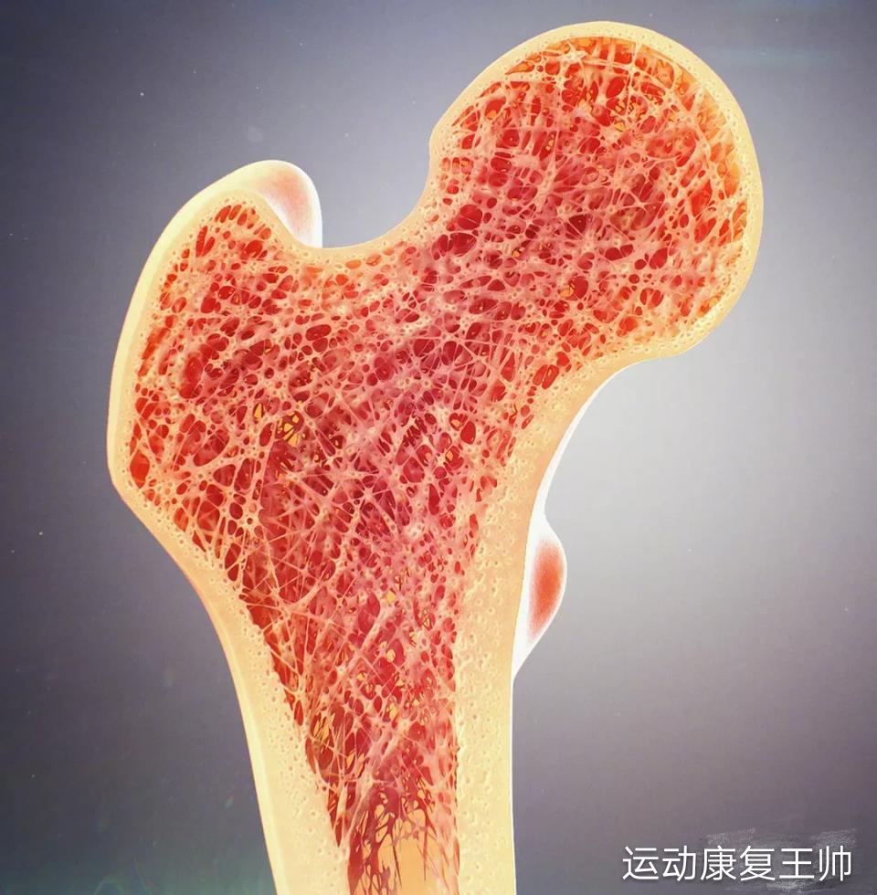 骨折后，人体会经历怎样的变化？