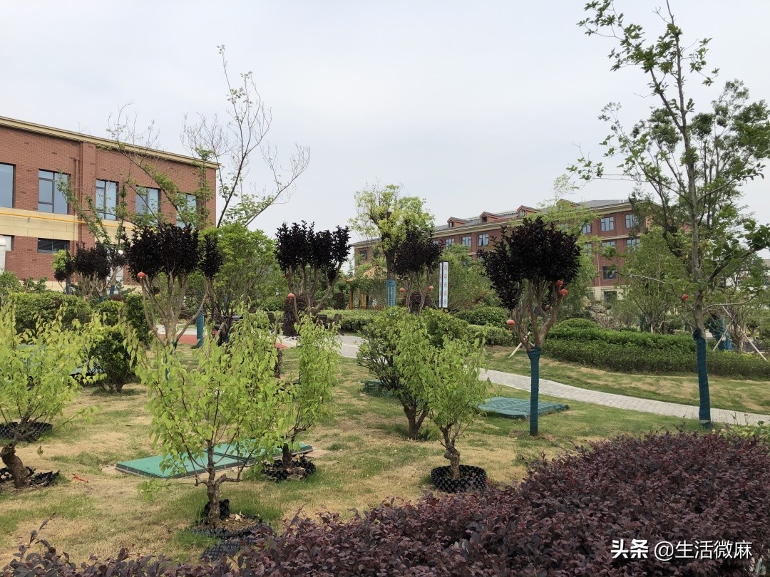 徐州汉王重大利民好消息！！徐州康复医院分院来啦