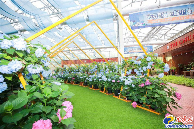 “苏货直播·e起小康”全省行正式启动南京美丽乡村首个5G直播间开播