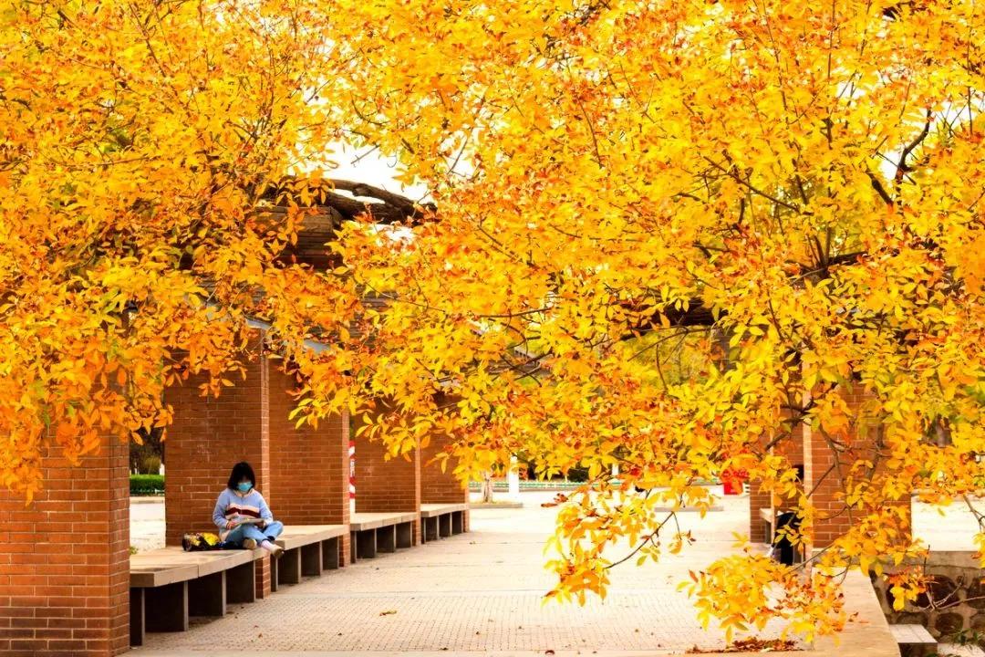 天津市普通高等院校（三）天津师范大学
