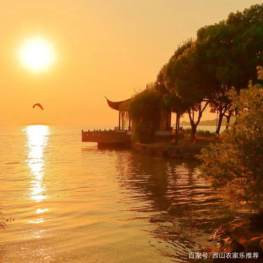 苏州西山网红打卡地樱花,苏州西山风景区有什么好玩的地方