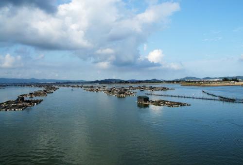 《黄金渔场》小说阅读,黄金渔场小说精品