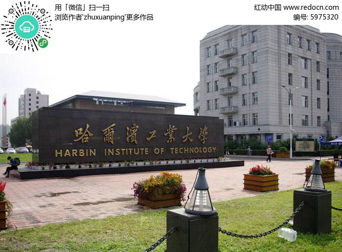 新高考志愿填报难吗,新高考志愿填报规则技巧大全