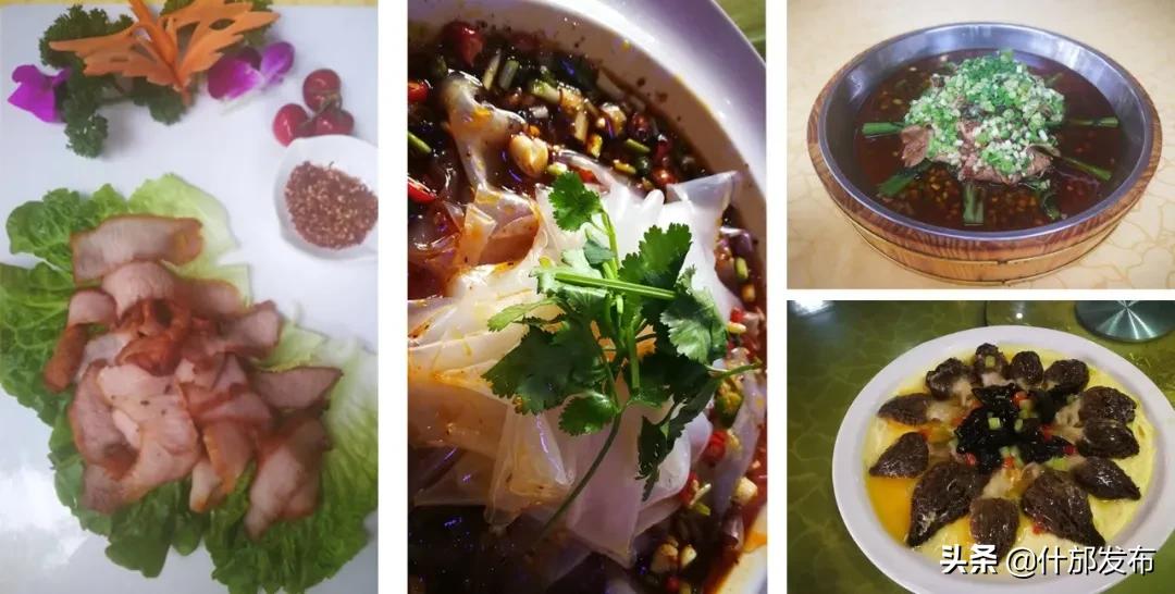 不负好春光文章,不负好春光的上一句