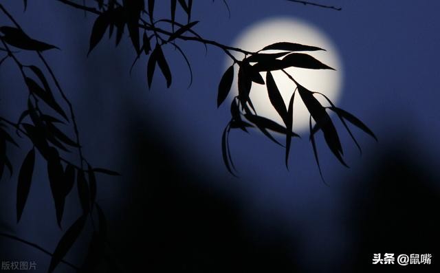 《韩非子》原文译文（九）