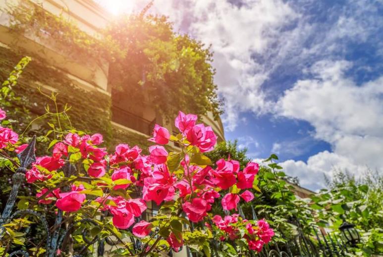 深圳旅游旅行团哪家好,福建旅行社旅游线路推荐