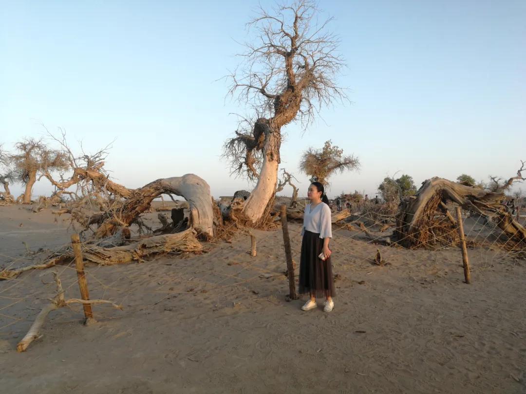 额济纳青年节旅游攻略,额济纳胡杨林旅游攻略