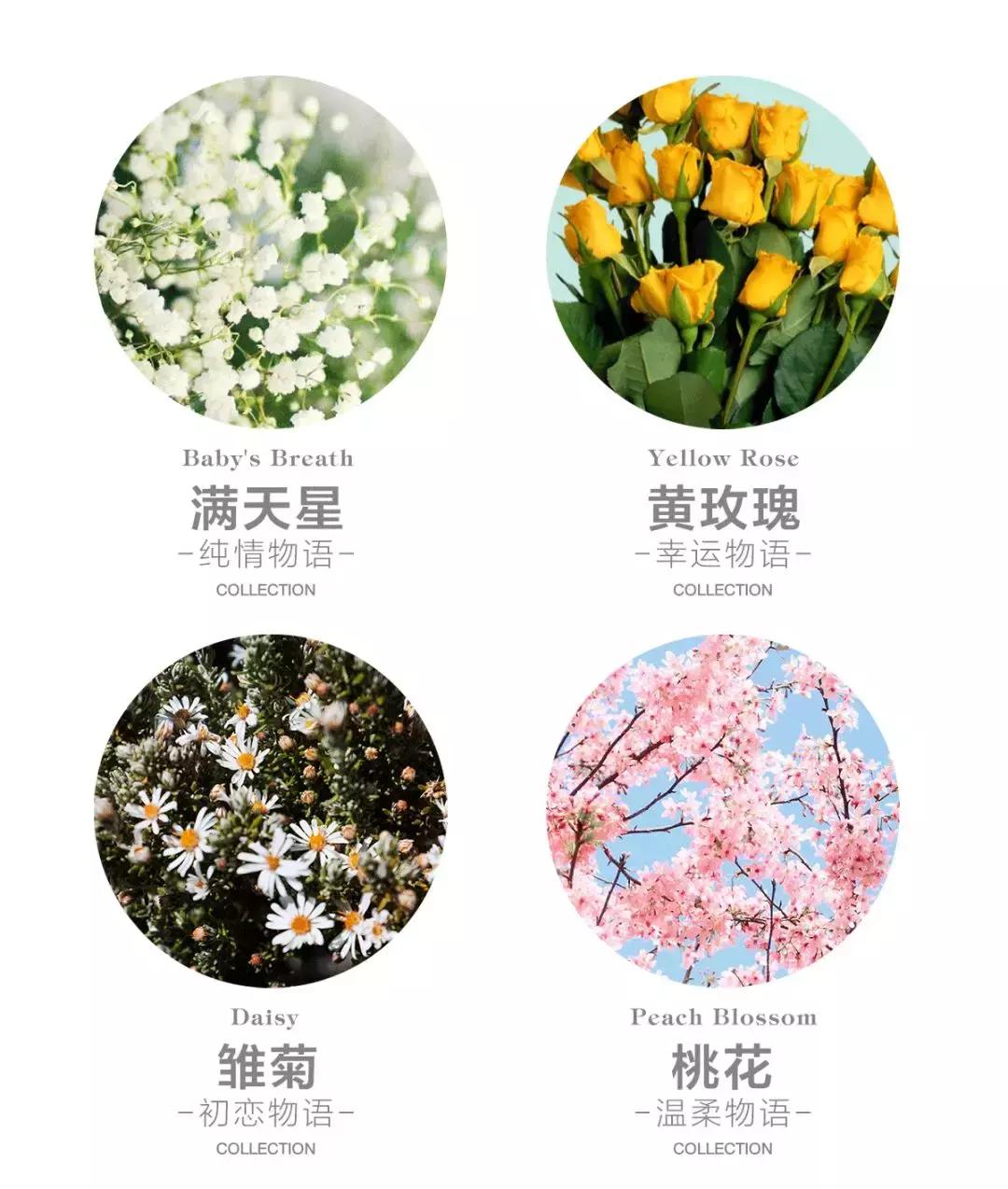 最适合春天的摄影,春天应该怎样拍婚纱照