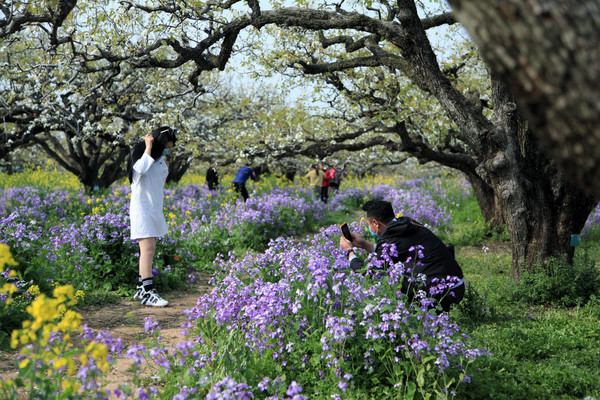 春游江淮请你来滁州版,春游江淮等您来