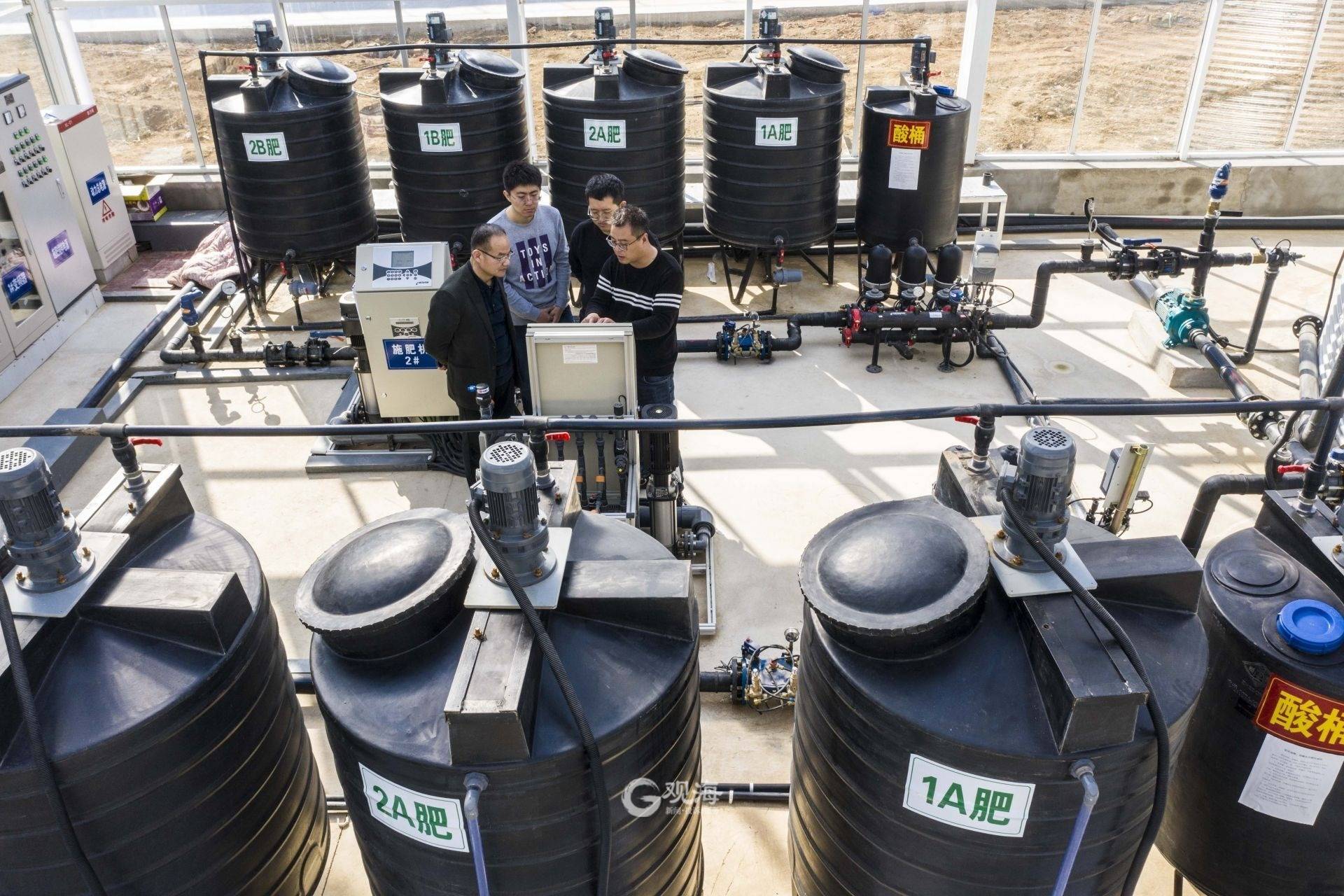 无土栽培有机无公害小番茄采摘园,无土栽培小番茄种植方法全过程