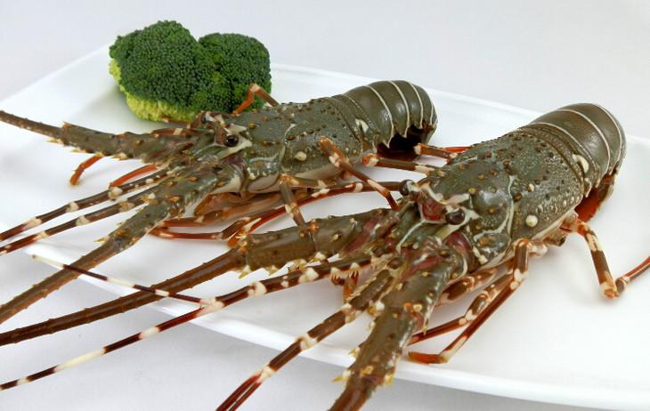 销量最好的三款嵌入式蒸烤一体机,嵌入式蒸烤一体机高性价比推荐