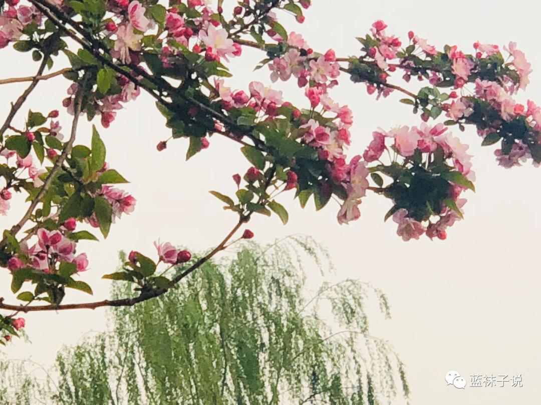 最近想得比较多胡思乱想,最近想事情想得多了