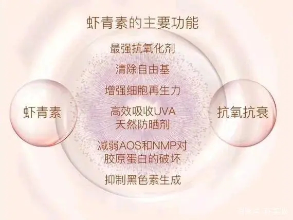 地球最强抗氧化虾青素,虾青素的抗氧化活性综述