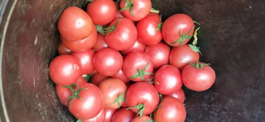 便宜的农副产品干货,冷门的农副产品