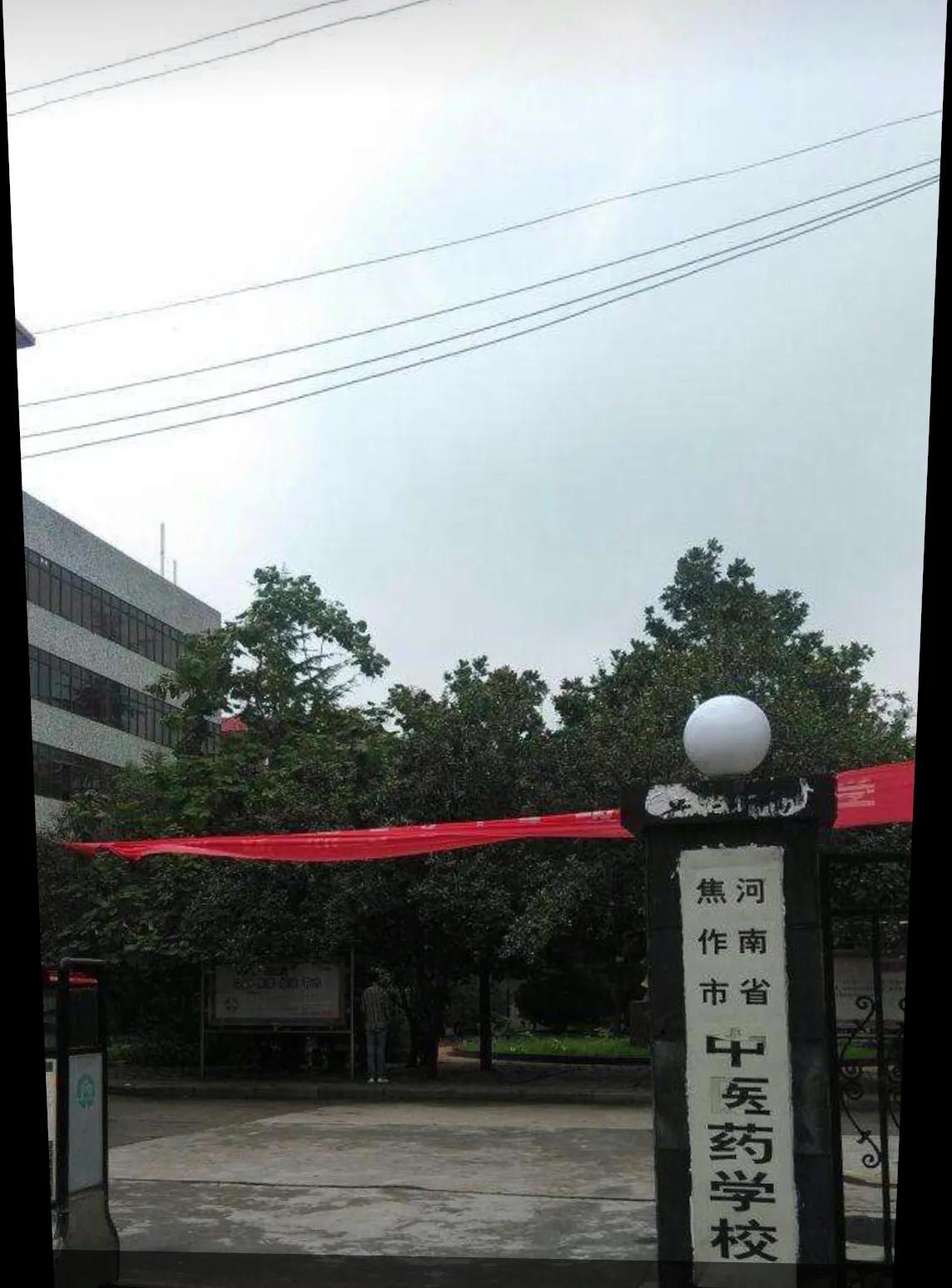 还记得“冬瓜”吗?