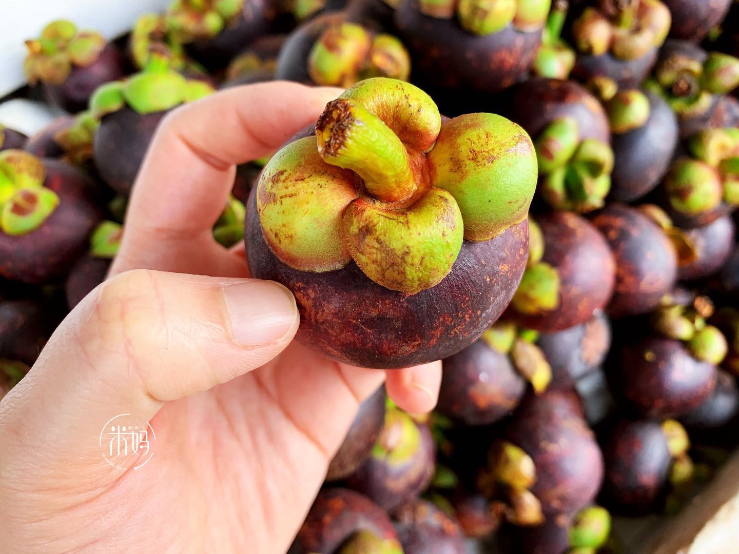山竹应该怎么挑选更好吃,怎样能挑到又大皮薄的山竹