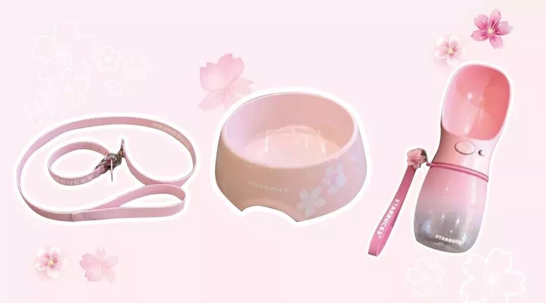 星巴克最新樱花杯,星巴克2019樱花季杯子