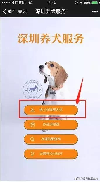 深圳养狗证多少钱,深圳养狗证网上可以查吗