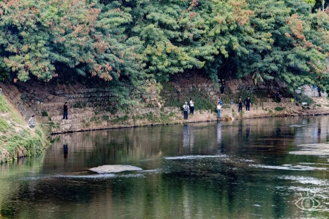 深圳游玩好去处攻略,深圳7个自驾游免费好去处推荐