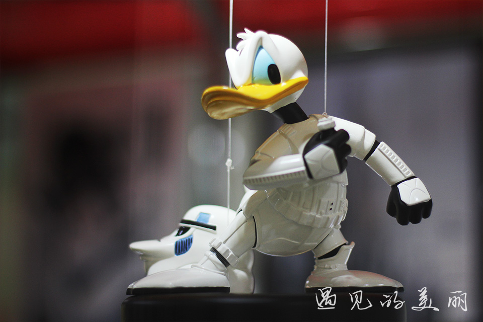 百万葵园有多坑,百万葵园免门票