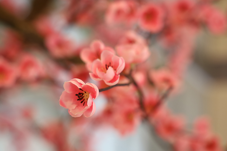 9000元入手相机,9000元预算能买什么样的单反相机