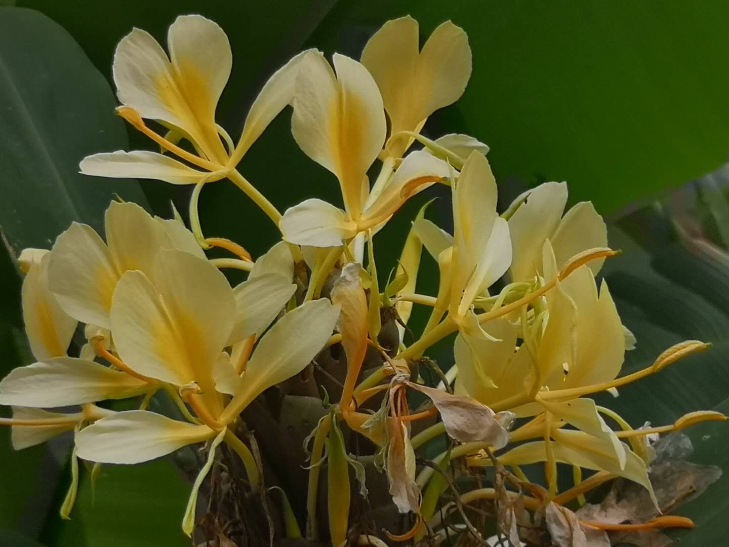 羊山湾喜乐田庄是什么,喜欢手机摄影的朋友