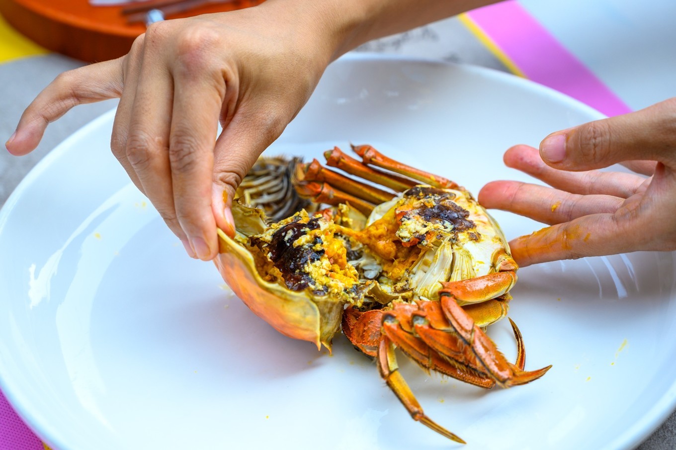 走进南京高淳,打卡网红打卡地固城湾景区,品尝固城湖螃蟹