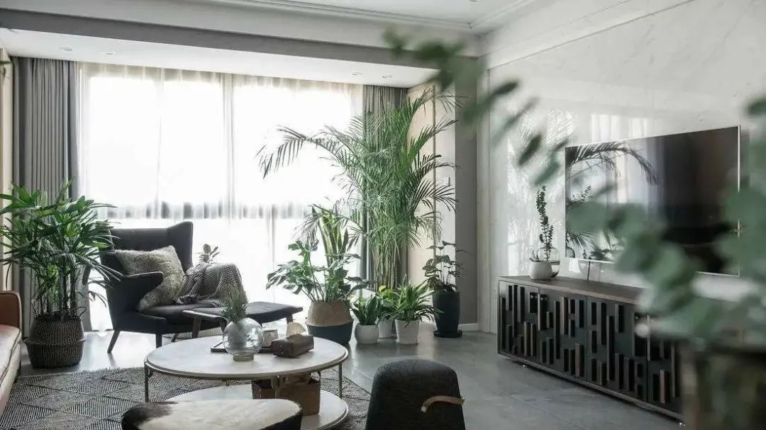 蘑菇孢子进入肺里发芽,菌类孢子进入肺部